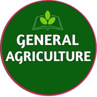 faithchemutai.gnomio.com